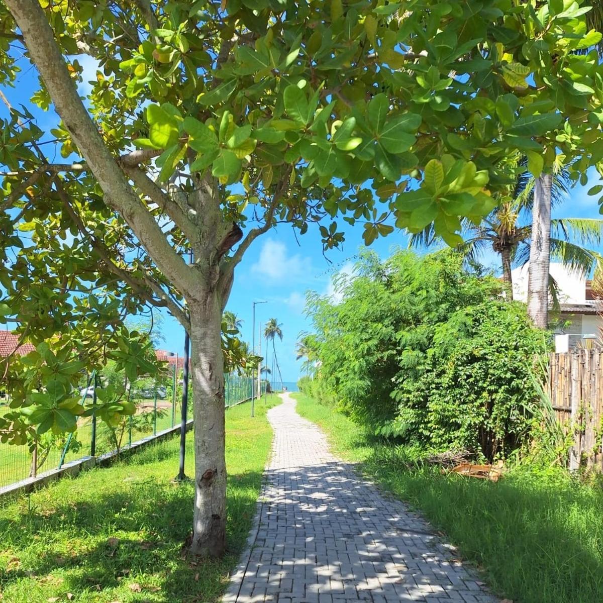 Flat Em Muro Alto-Porto De Galinhas-Makia Beach Experience エクステリア 写真